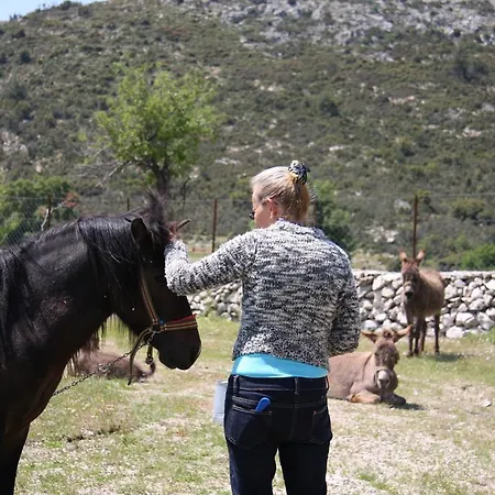 Casa de Campo Blacktree Farm And Cottages Fethiye