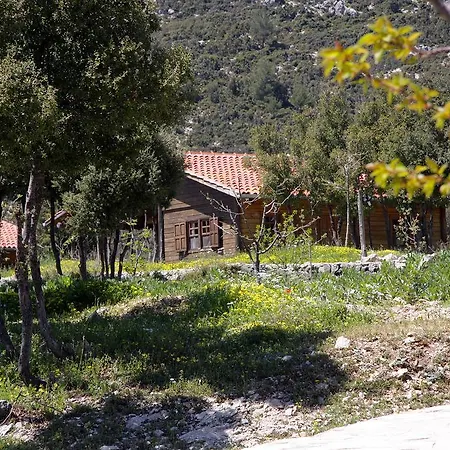 Blacktree Farm And Cottages Фетхие